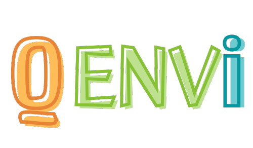 Quality environment IT management consulting QENVI